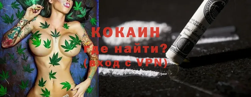 гидра сайт  Кириши  COCAIN Fish Scale 