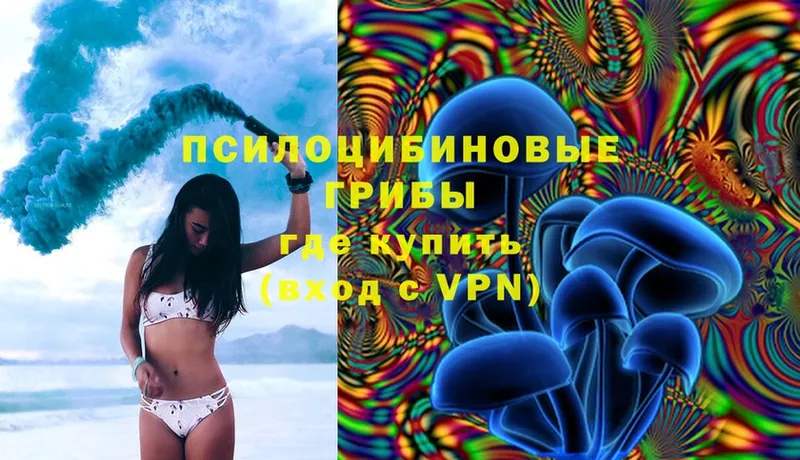 Галлюциногенные грибы GOLDEN TEACHER  Кириши 